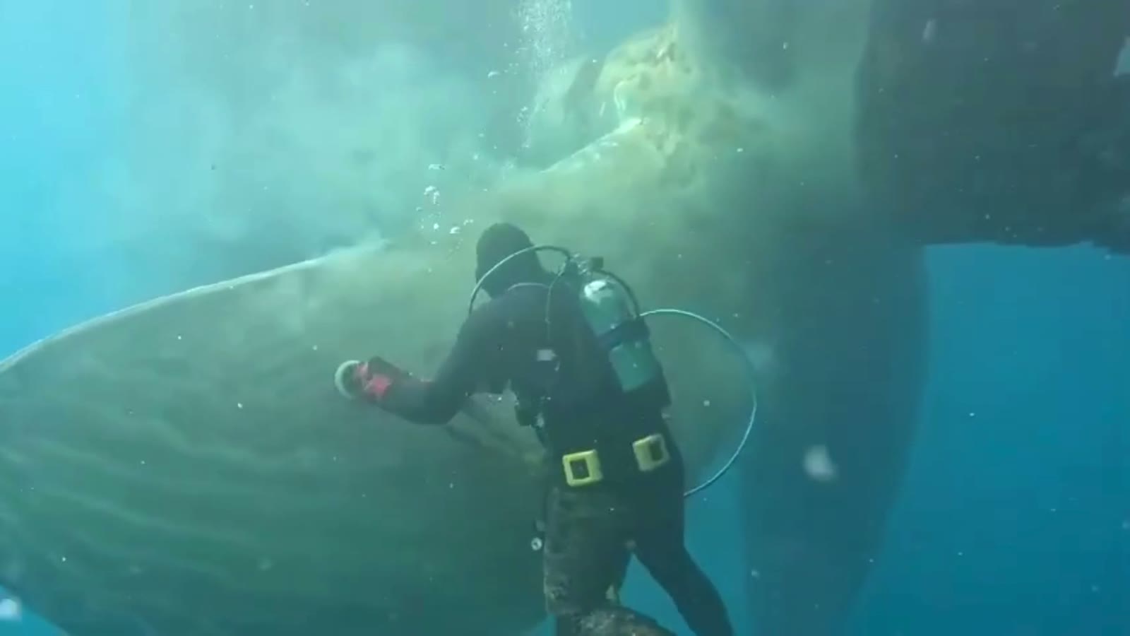 Diver working inside a bow thruster tunnel